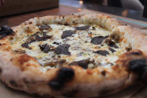 Close-up of a freshly baked cheese pizza with browned crust and dark toppings