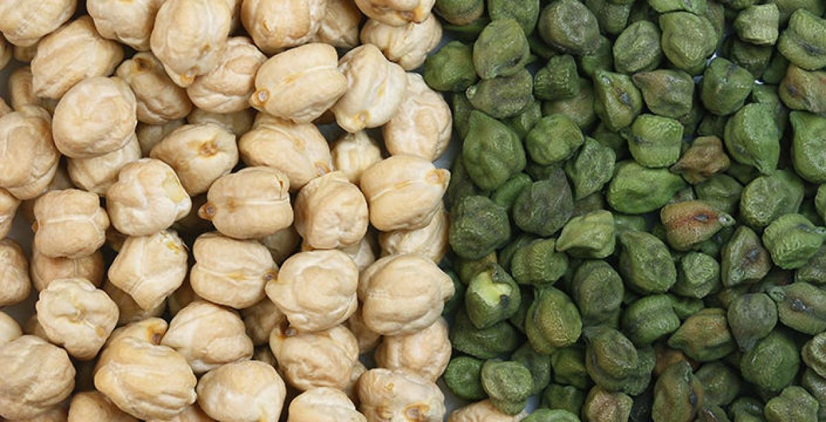 The Humble Chick Pea