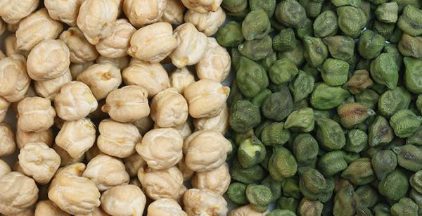 Close-up of pale chickpeas beside green chickpeas arranged in two sections