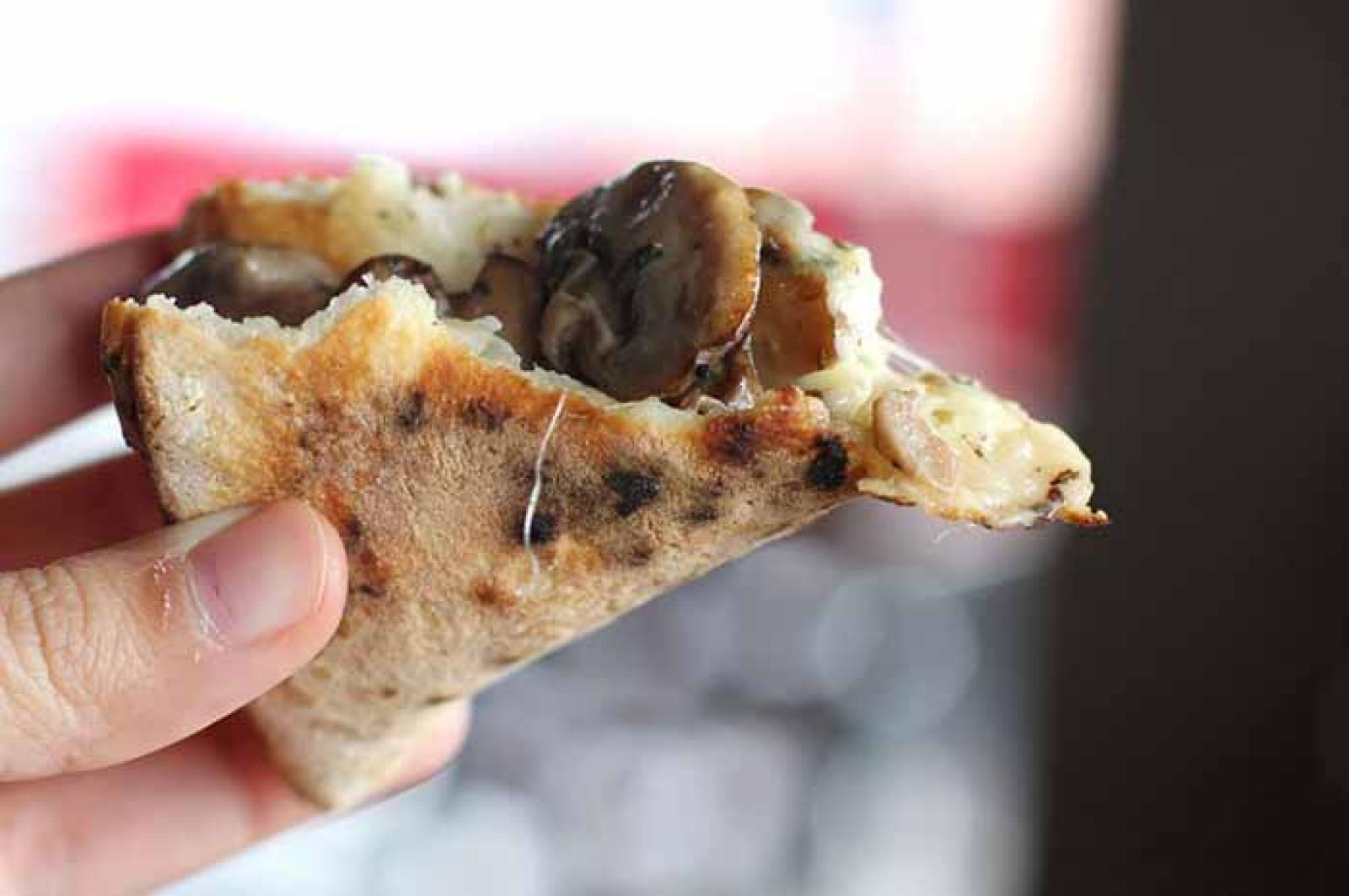 wp_import_5905c40b7868_pizzafold.jpg