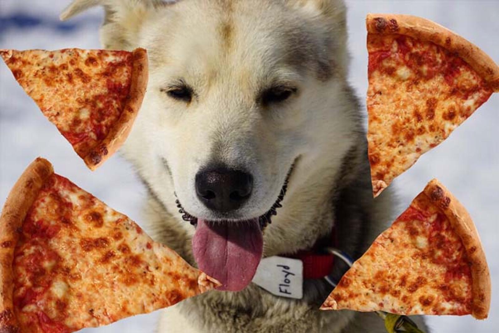 wp_import_cb810a277ea7_pizzafy3.jpg