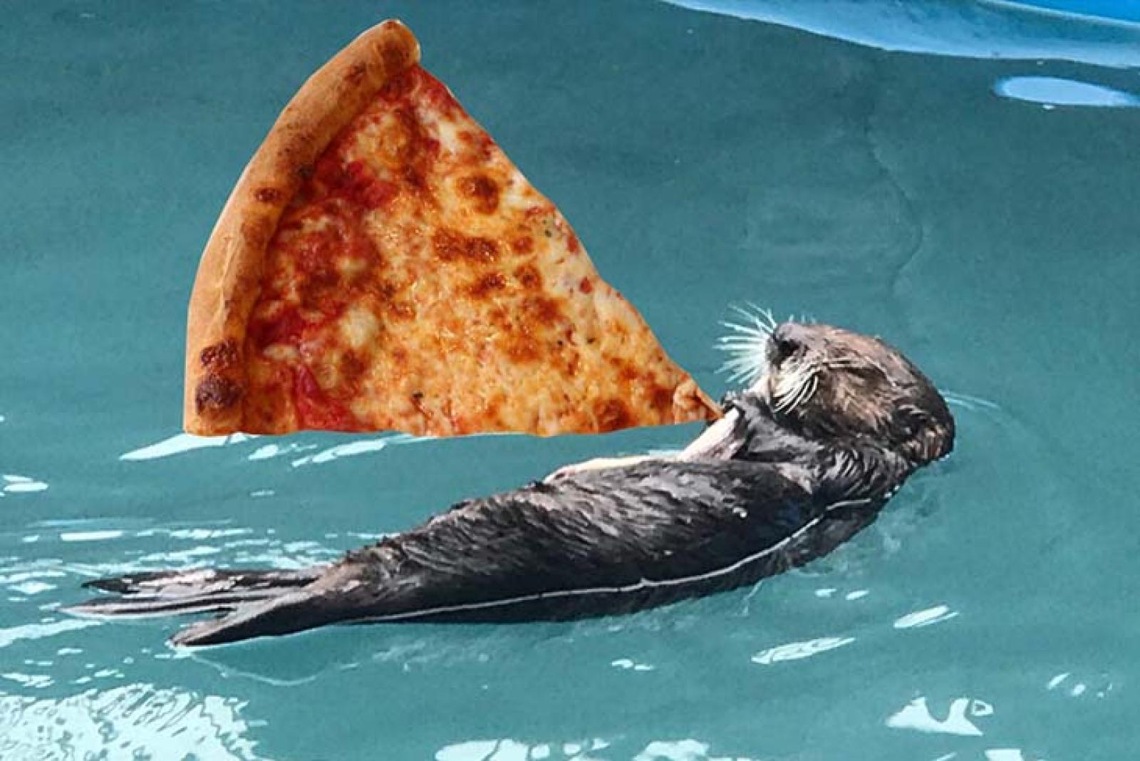 pizzafy
