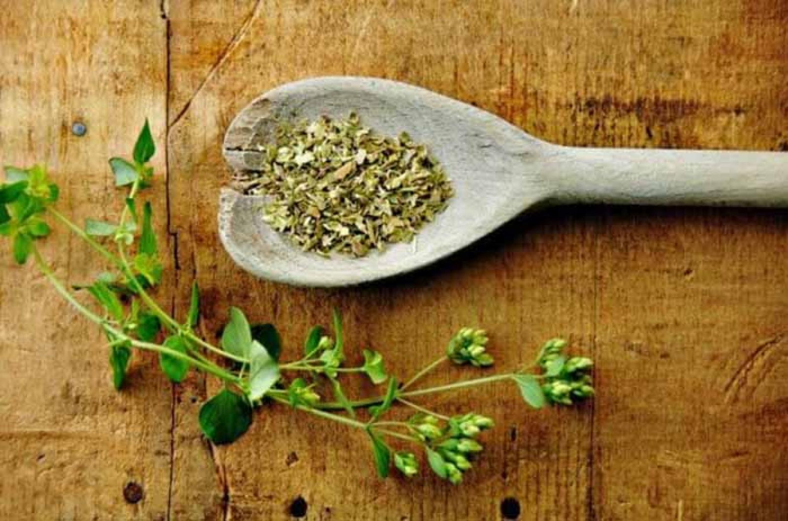 herbs