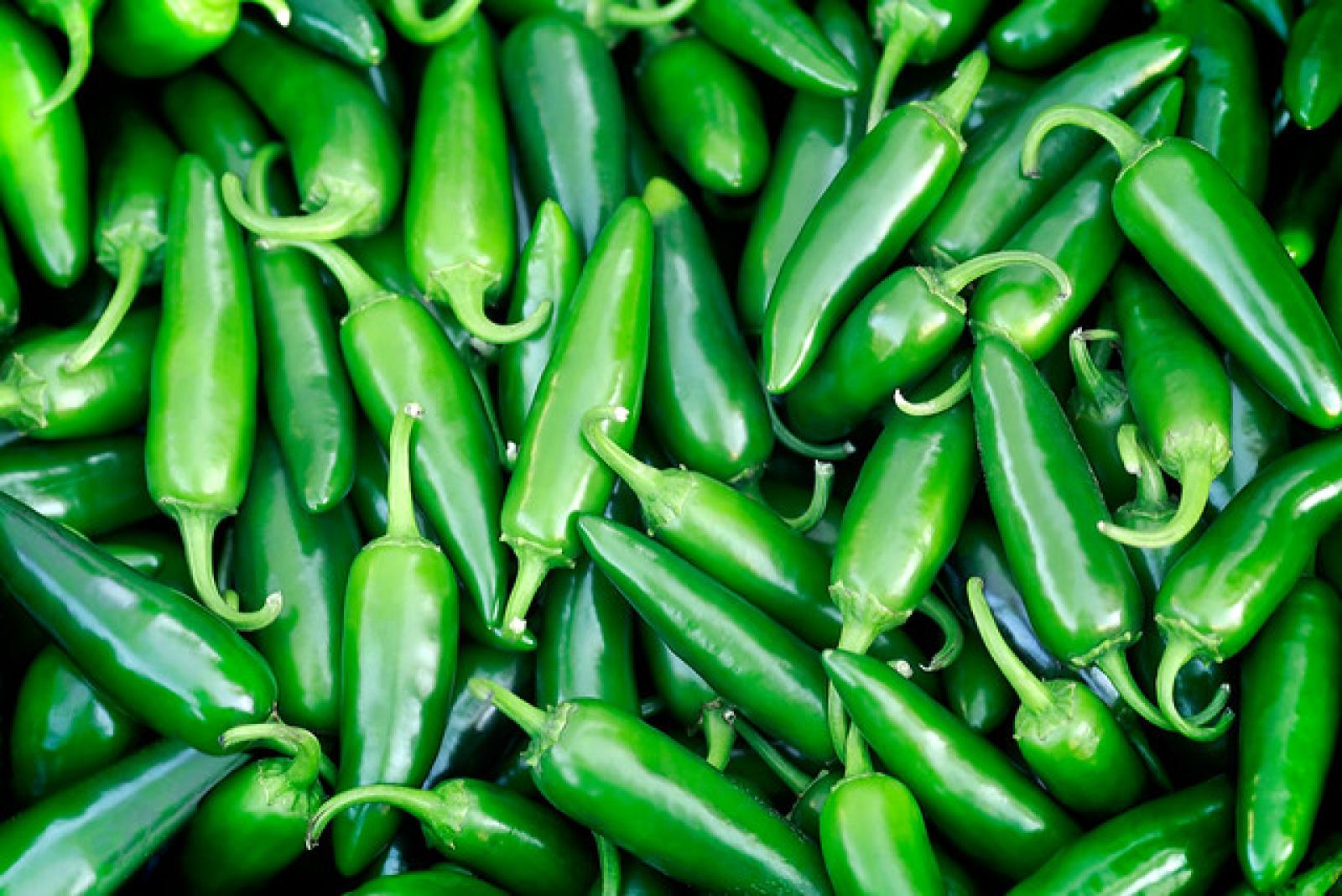 Close-up of fresh green chilli peppers piled together