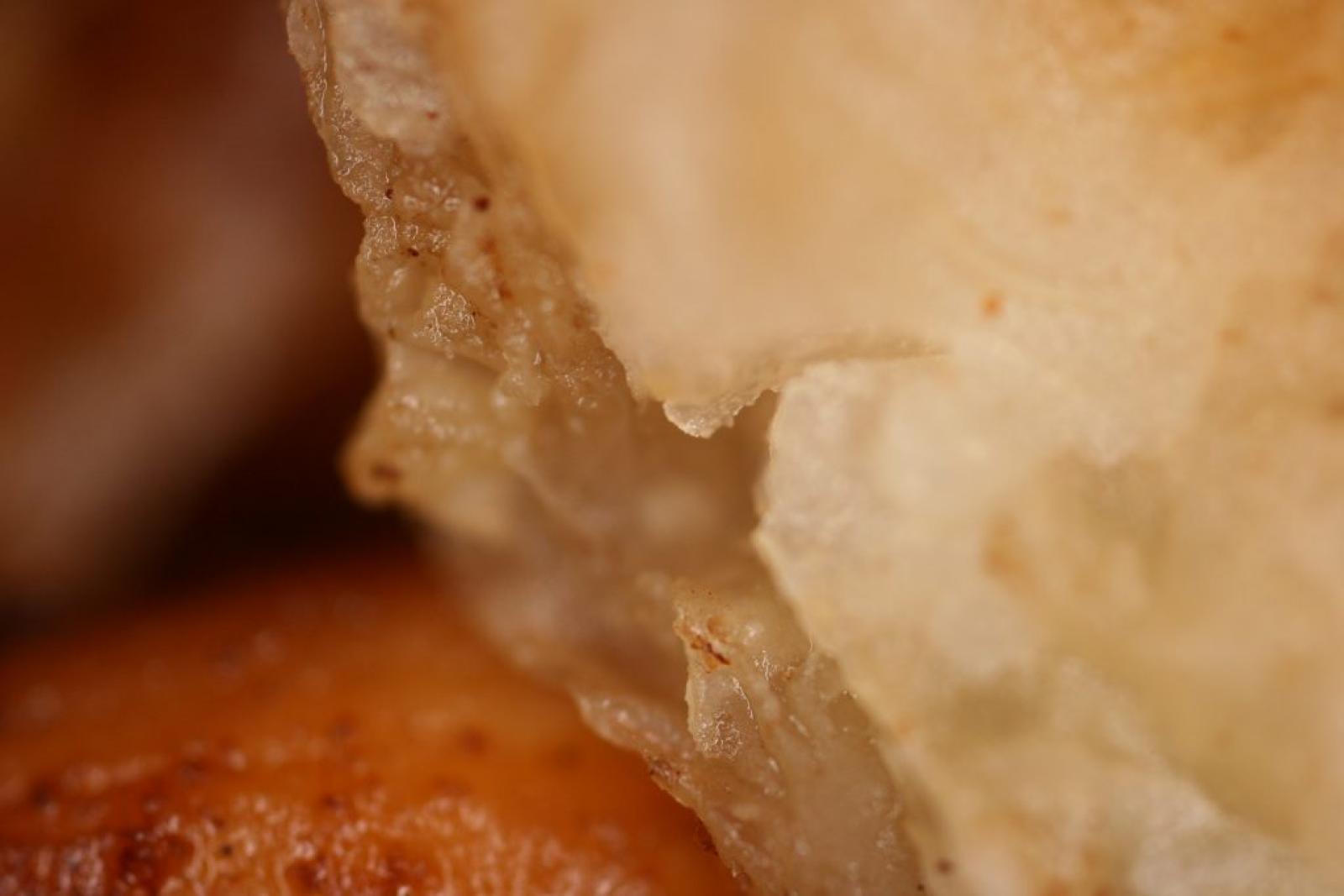 Close-up of a golden, flaky Lebanese-style pastry with a soft layered filling