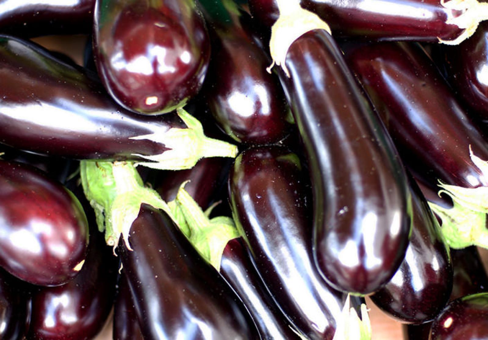 Glossy fresh aubergines with green stems piled together